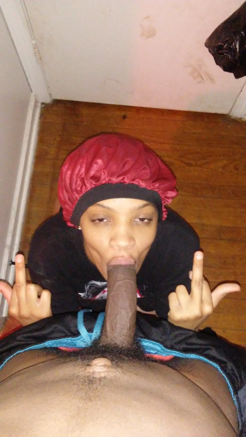 Bonnet head bop #ijv8cqXR